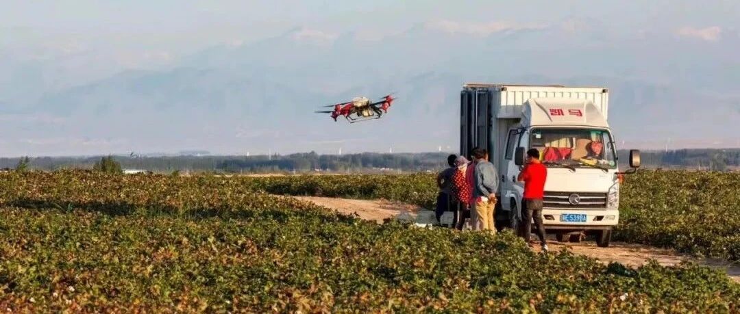 “十四五”行政村5G通达率达80%，齐力下好数字乡村这盘棋