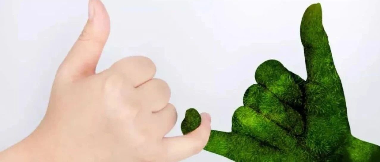 电信运营商内部“碳交易”？专家：可行！