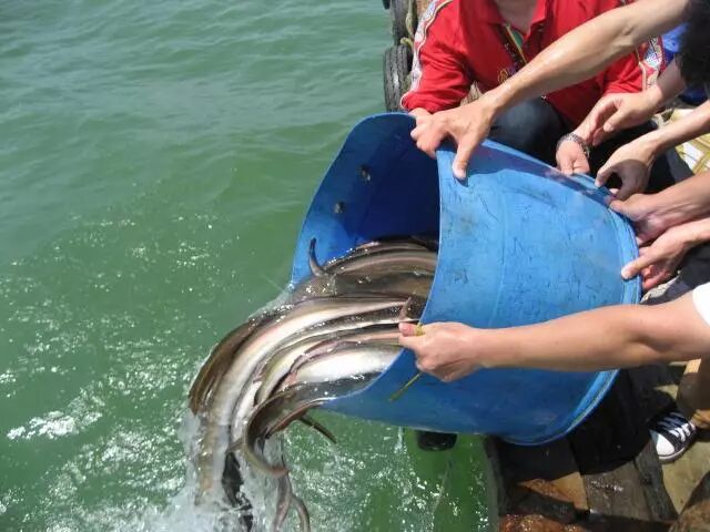 次日凌晨,妈妈就安详舍报,经过30小时的助念,她全身柔软,安然往生.