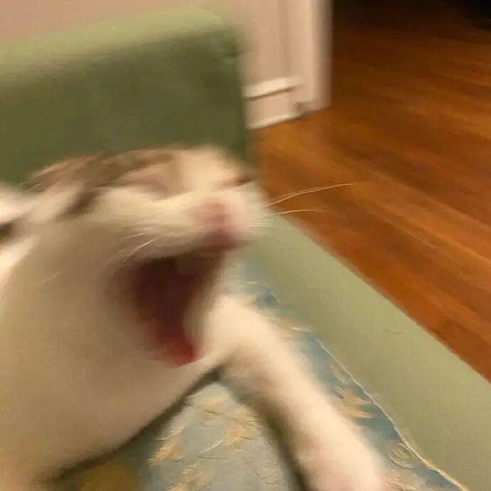 第三个吗讪笑我郁闷……(图16)