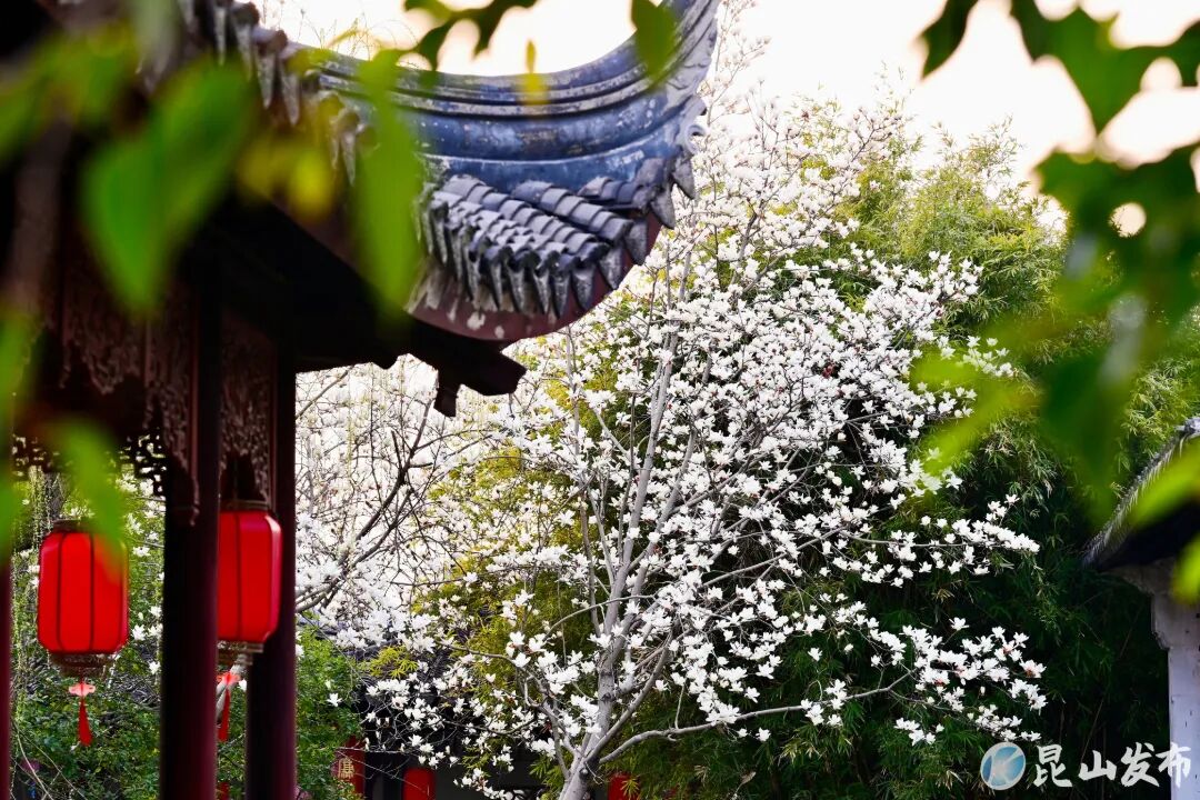 微信图片_20260313134013_16276_70_副本.jpg