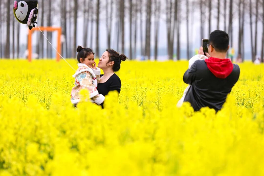 2024年3月23日群（陆家 智慧田园）2024年3月23日，陆家未来智慧田园春意盎然，大片油菜花海吸引市民游客来此踏春赏花，拍照游览，乐享春光。袁新宇 (4).jpg