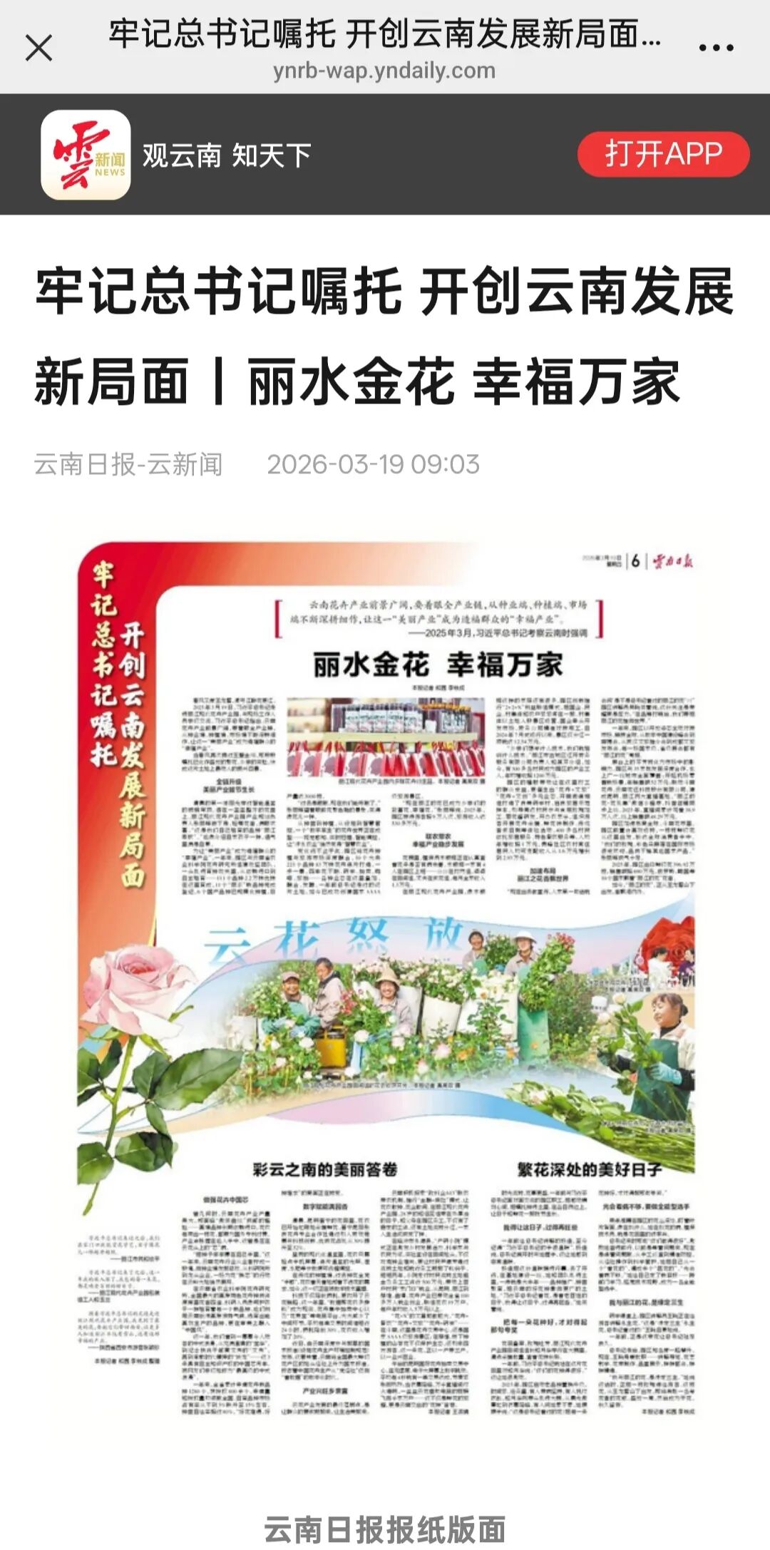 云南日报-云新闻.jpg
