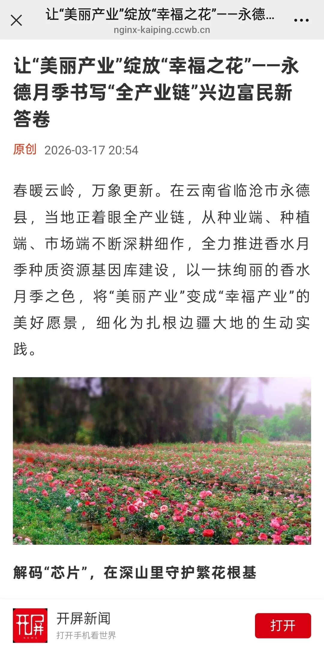 开屏新闻客户端.jpg