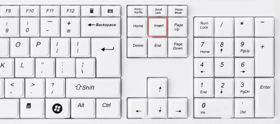 word全选所有图片缩小_word怎么全选调整图片大小_word全选图片调整大小