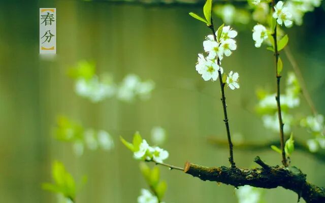 春季养生吃这6种时令蔬菜准没错！