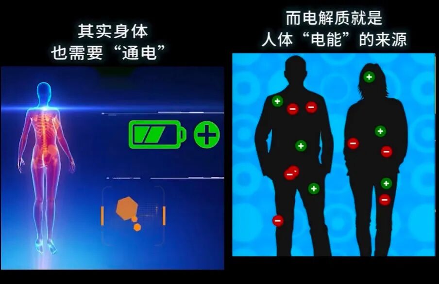 电解质用什么管子抽血术后抽血必选项之离子检查_https://www.jmylbn.com_新闻资讯_第5张