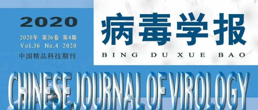 学术速递 |《病毒学报》2020年第4期 Chinese Journal of Virology 导读