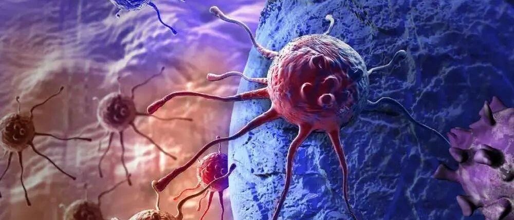 重大突破? 以色列科学家宣称癌症可几周内彻底治愈, 成本低廉, 几乎无副作用