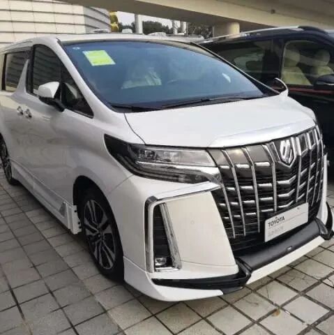 蒙娜丽莎套件埃尔法现身上海，看车牌就知道车主是谁？