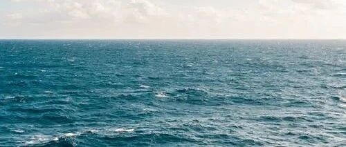 复旦教授：不打不骂不罚是培养不出优秀孩子的！