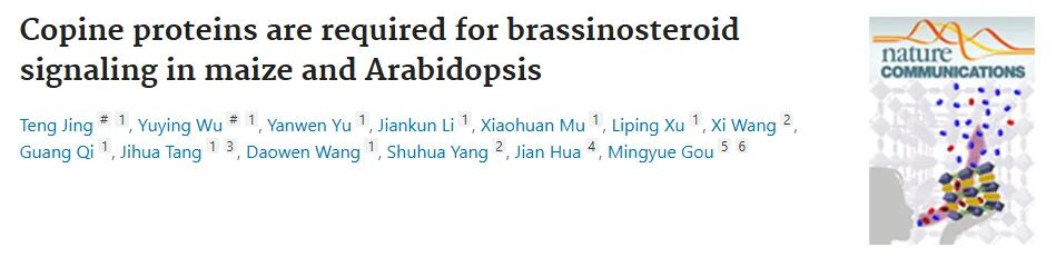 3月文献汇总|索莱宝产品引用精彩回顾