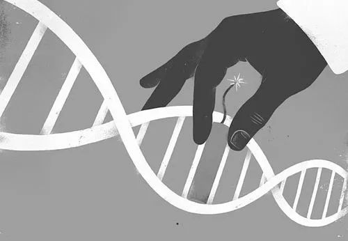世间的奥秘是用生物学写就的