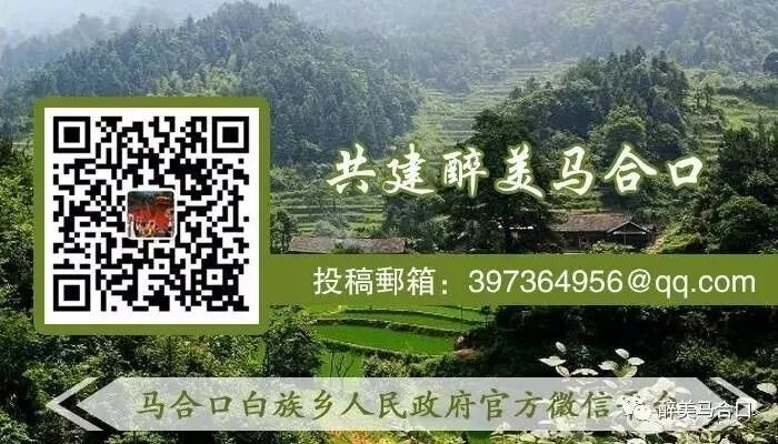 【关注】马合口白族乡开展走访慰问贫困群众落实政策送温暖活动、健康扶贫冬季暖心暨今冬明春计划生育集中服务活动