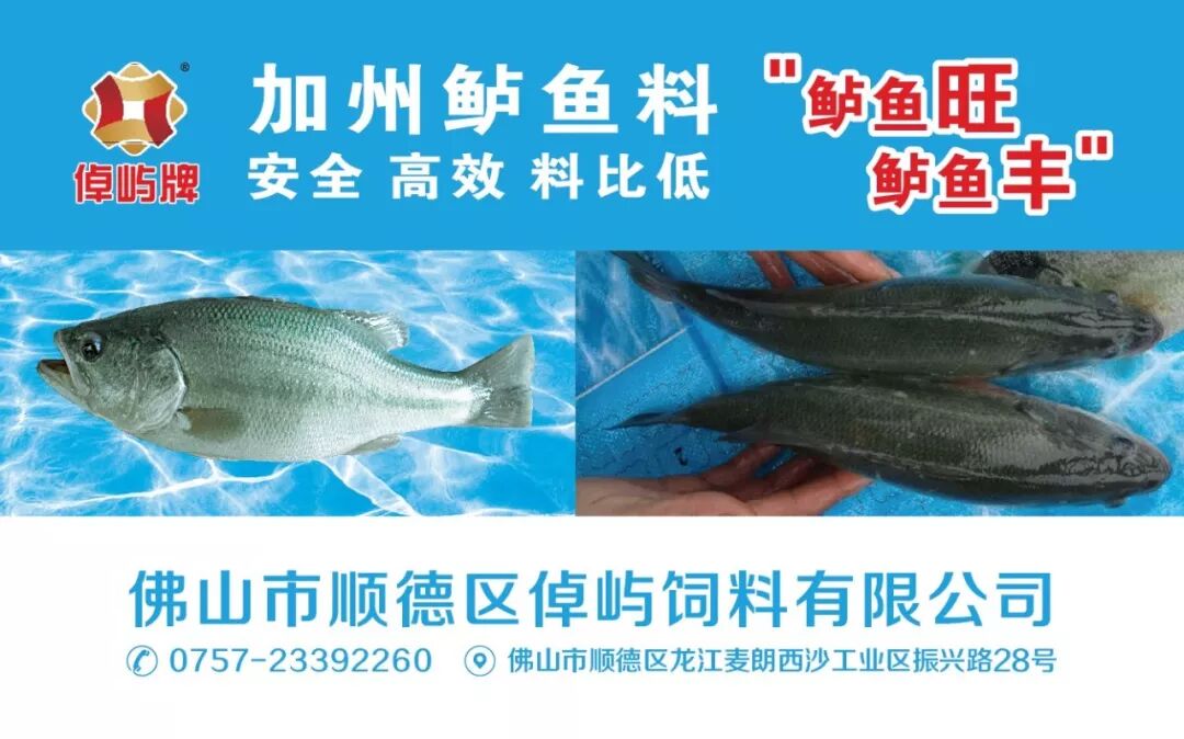 这种寄生虫几乎可感染所有鱼类 加州鲈也难逃魔掌 即将霸道来袭 加州鲈通 微信公众号文章阅读 Wemp