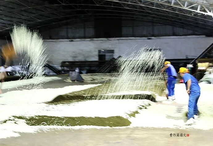 窨制_什么是窨制_花茶窨制次数