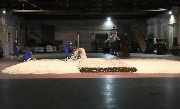 花茶窨制次数_什么是窨制_窨制