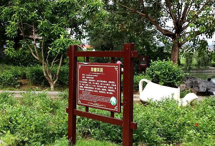 什么是窨制_花茶窨制次数_窨制