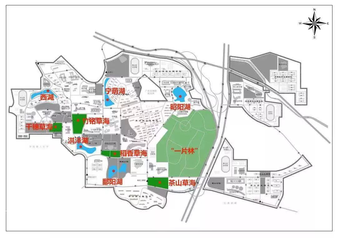 华南农业大学宿舍管理_刘应亮 华南农业_华南农业大学树木园