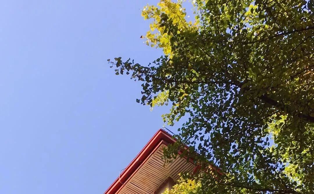 热浪来袭！这几种情况都是“中暑”，千万别忽视