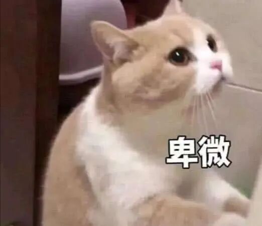 澳门新葡亰平台游戏8455 首頁