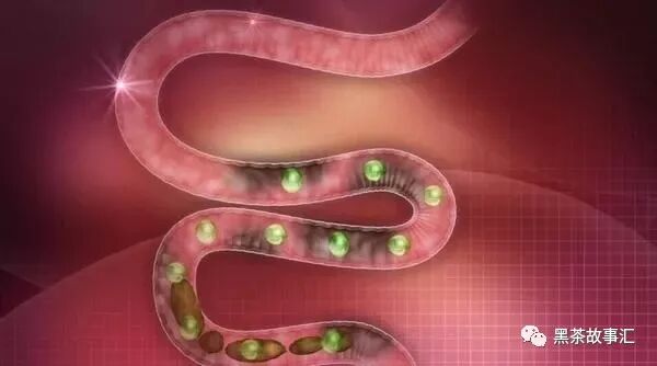 喝黑茶，有利于改善肠道环境，拥有健康体魄！
