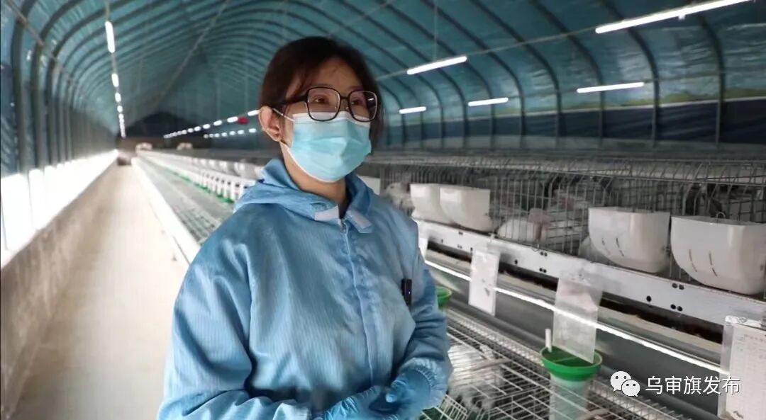 现在创业项目致富_过去致富无本创业项目_现在0元创业开店致富