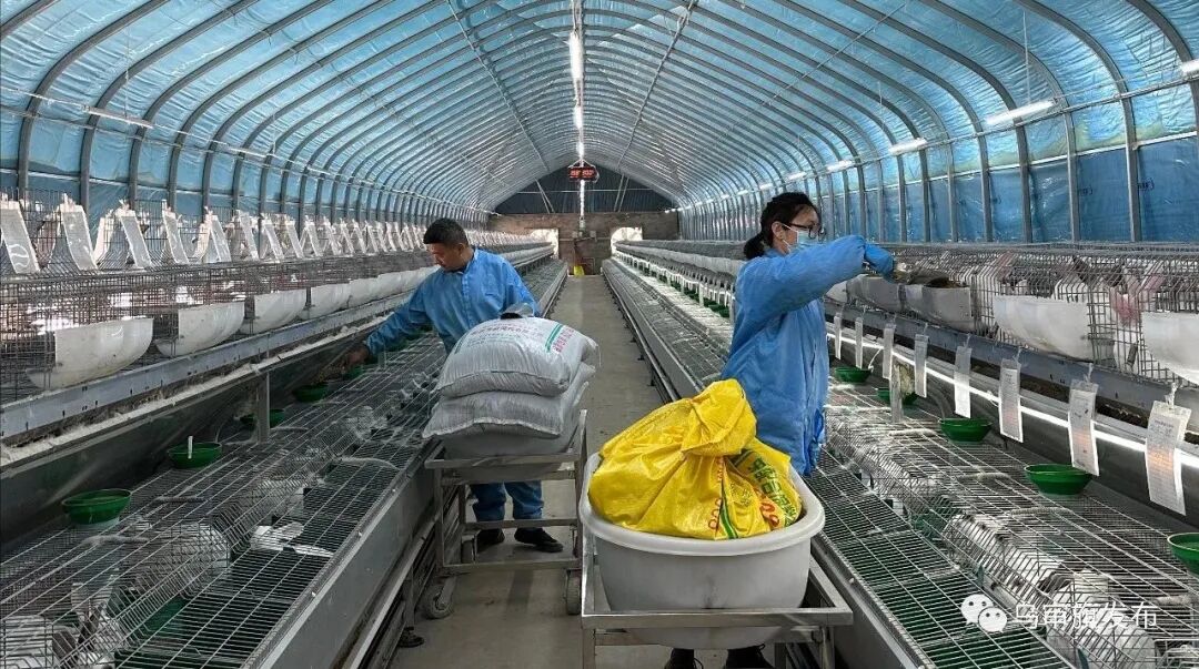 过去致富无本创业项目_现在0元创业开店致富_现在创业项目致富