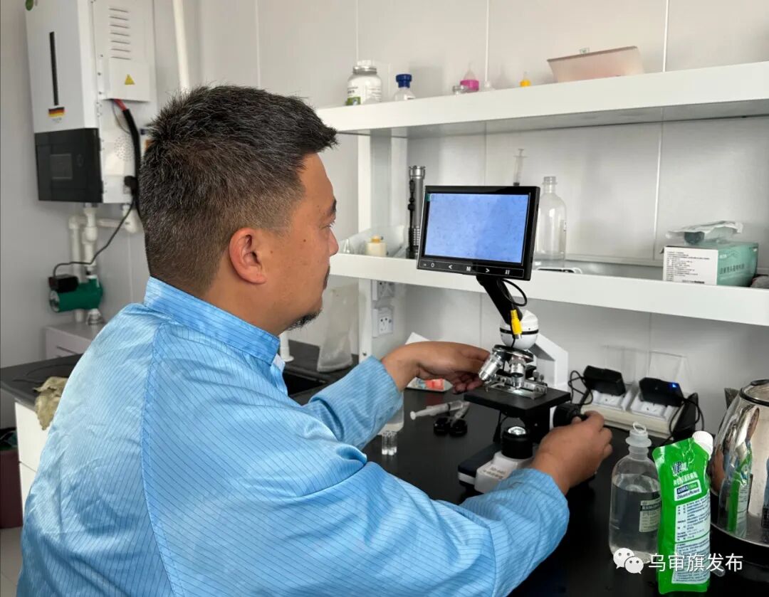 现在创业项目致富_过去致富无本创业项目_现在0元创业开店致富