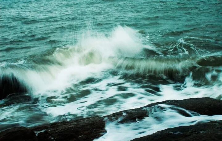 社会百态 Page 波士顿万家网 Boston Wanjia Web