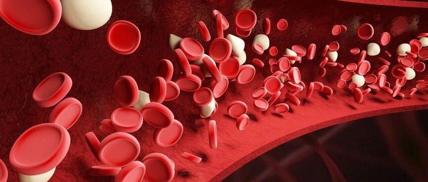 血管好不好，摸这里就知道！一个动作让全身血液流通