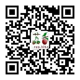 粽夏之时，端午安康