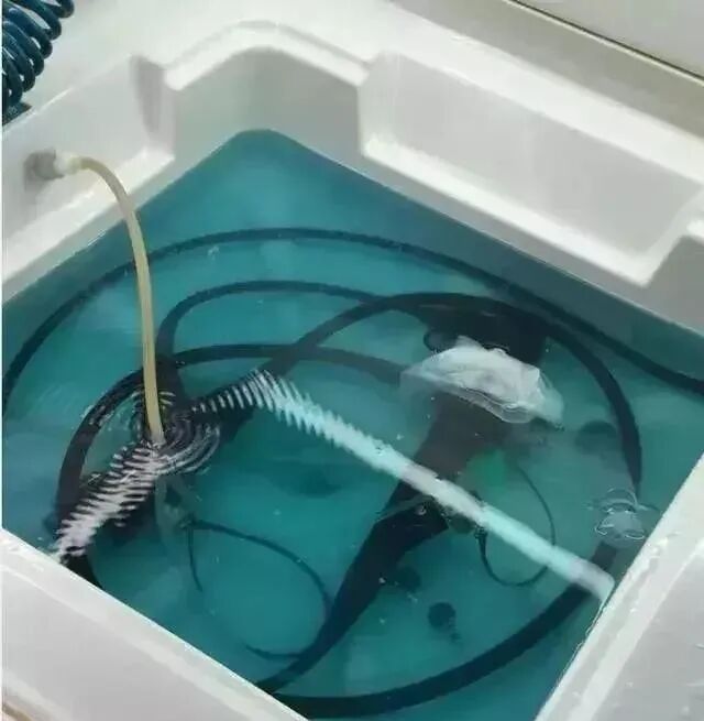 为什么活检钳不是一次性成都博仕胃肠病医院┃胃肠镜是一次性的吗 ？能不能同时做？_https://www.jmylbn.com_新闻资讯_第9张