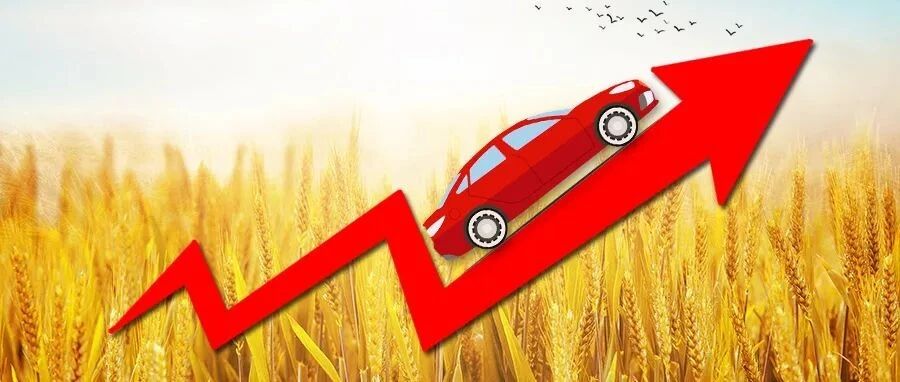 “金九”的第一份成绩单来了！