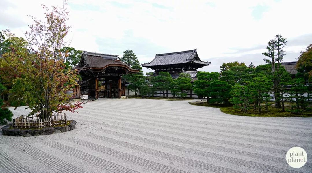 从不开放的高山寺遗香庵茶室公开 植物星球 微信公众号文章阅读 Wemp