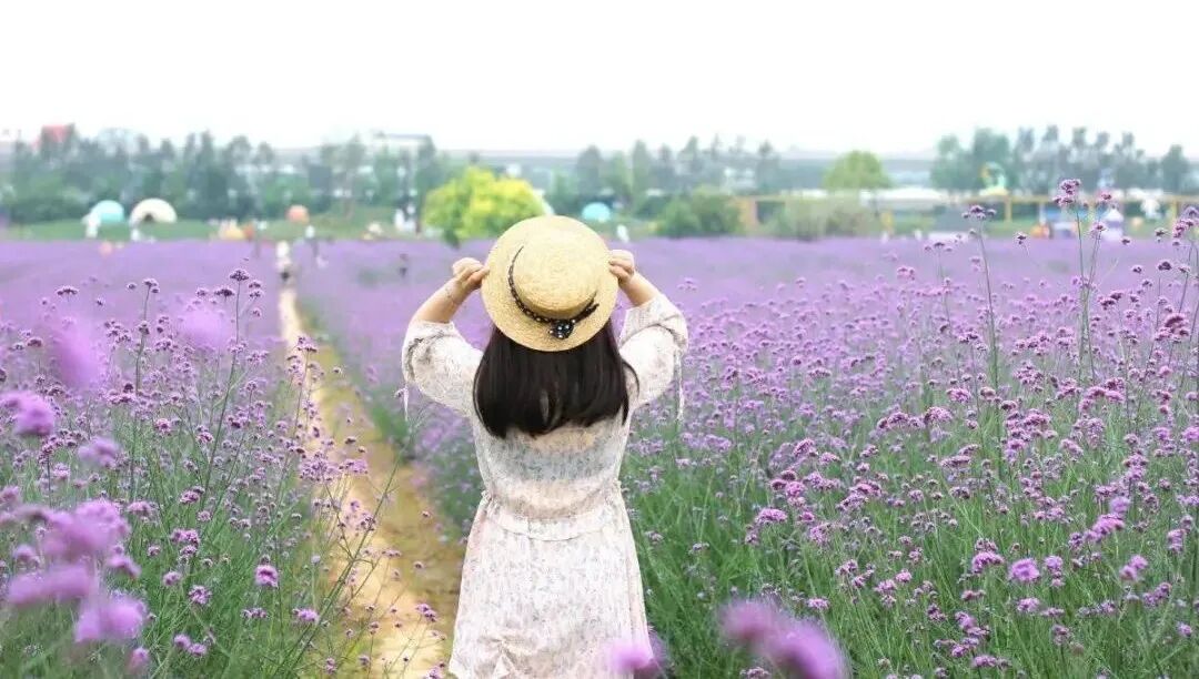 99元畅享全国2500+旅游景点？去趟峨嵋就赚翻！这张集会卡牌把错失的都补齐(图9)