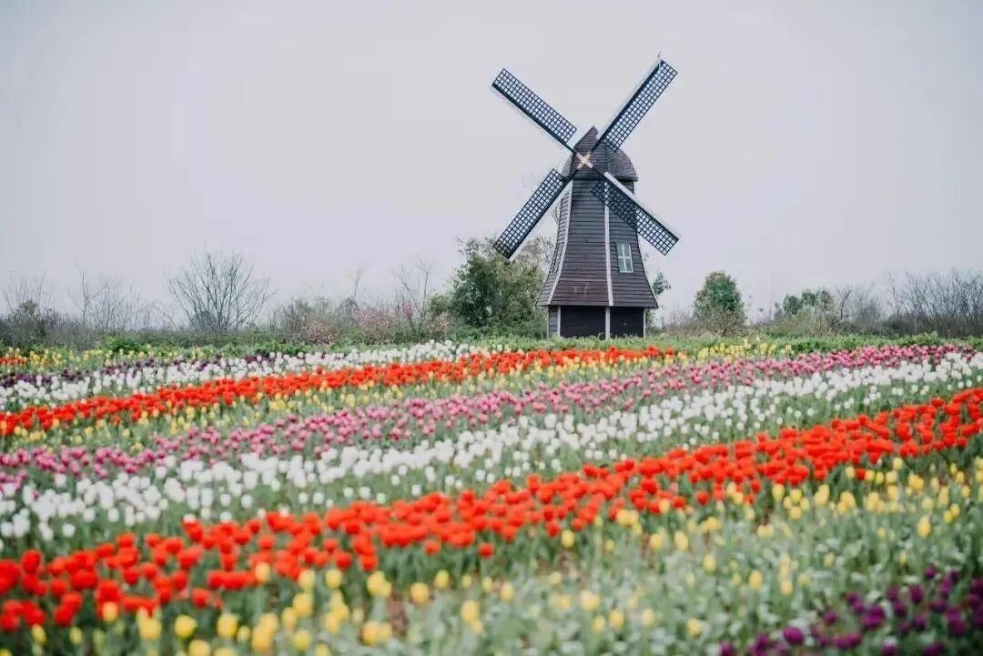 99元畅享全国2500+旅游景点？去趟峨嵋就赚翻！这张集会卡牌把错失的都补齐(图11)