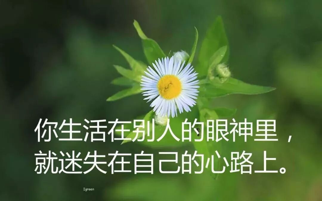 发朋友圈很现实的人生感悟句子 人生,既要淡,又要有味_非主流个性网