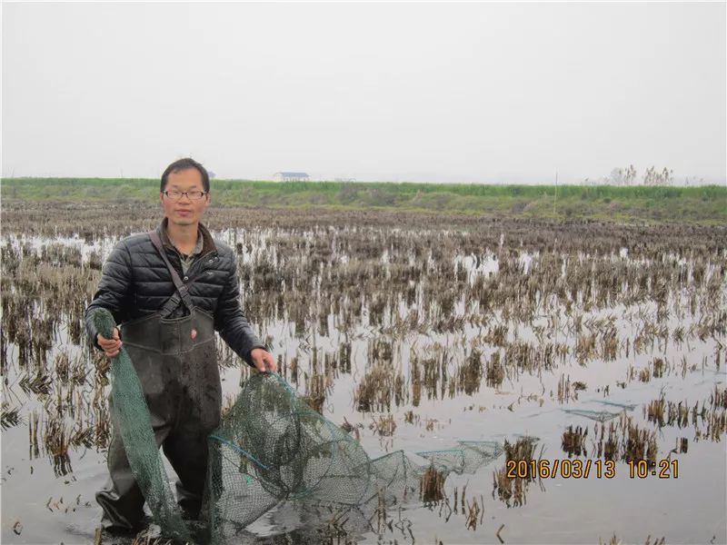 致富经龙虾养殖技术视频_致富龙虾养殖小视频_致富经养殖小龙虾