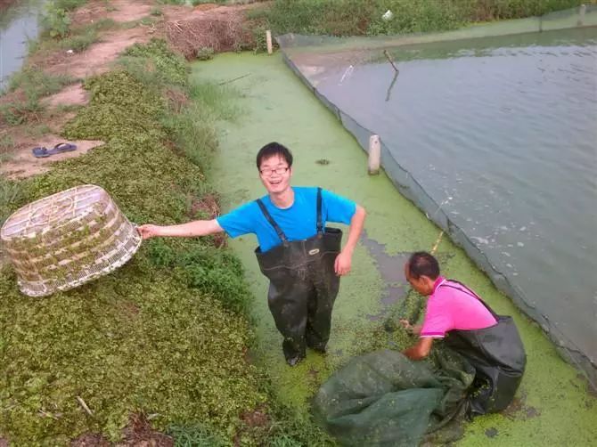 致富经养殖小龙虾_致富龙虾养殖小视频_致富经龙虾养殖技术视频