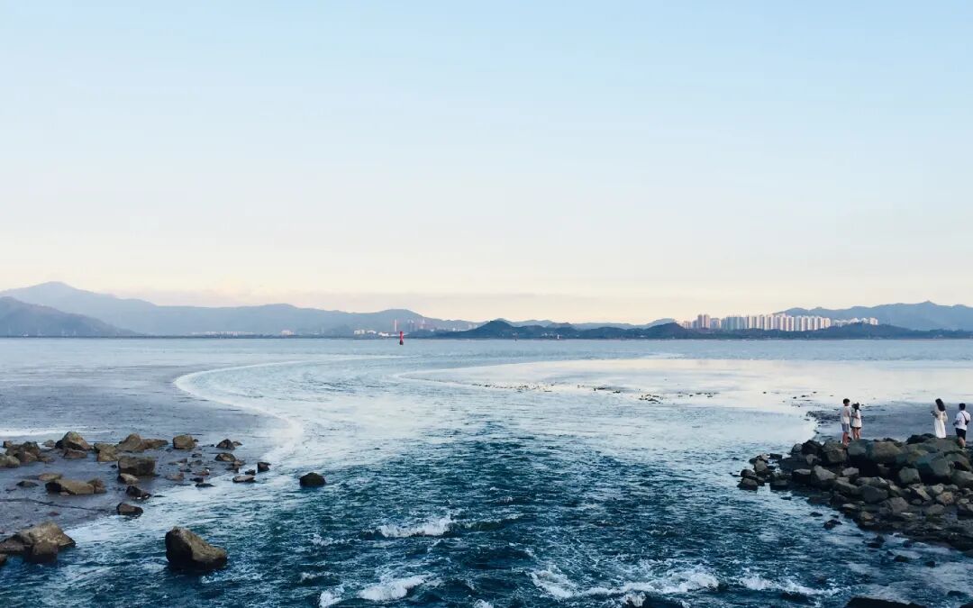 SGDA 能量秀 | 陈丽斯：享受用设计丈量未知领域的过程