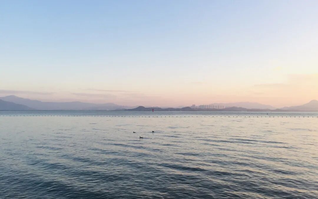 SGDA 能量秀 | 陈丽斯：享受用设计丈量未知领域的过程