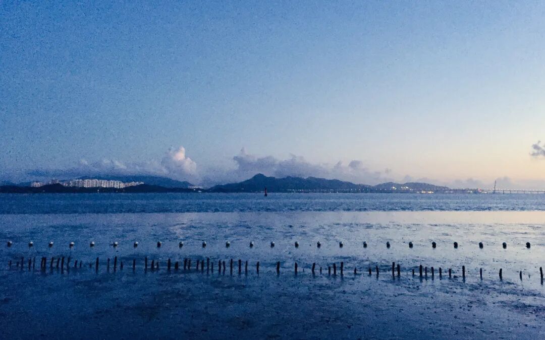 SGDA 能量秀 | 陈丽斯：享受用设计丈量未知领域的过程