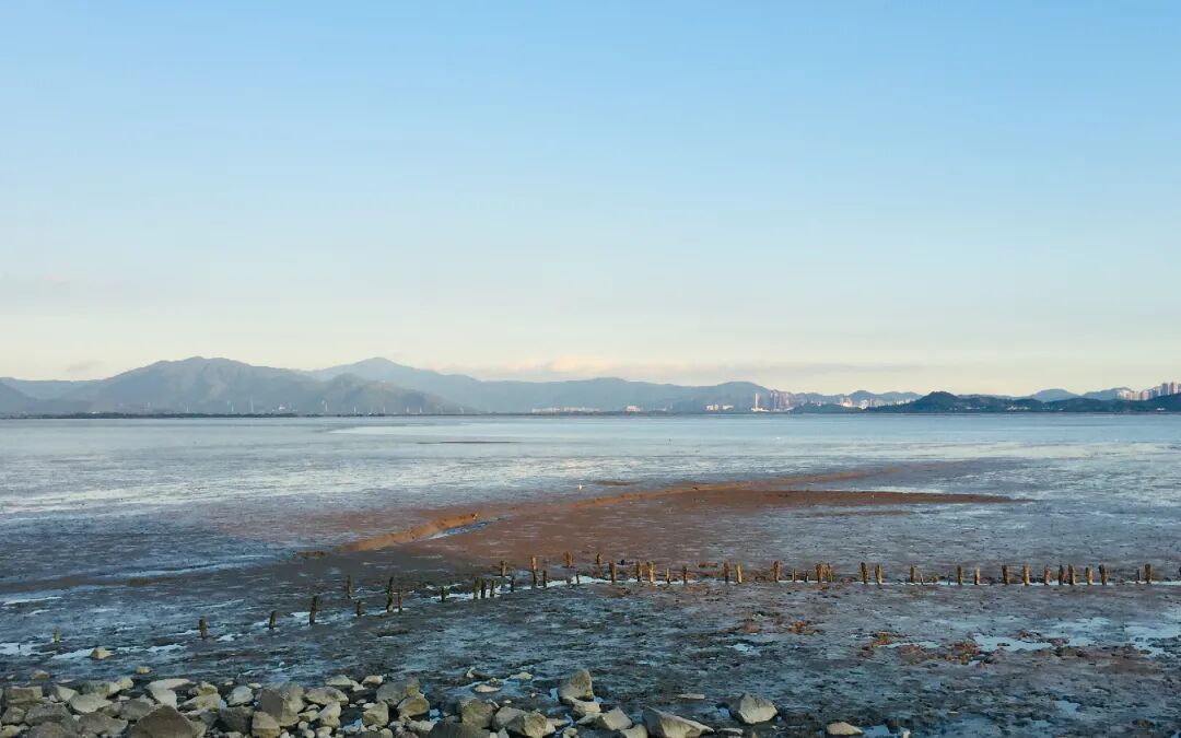 SGDA 能量秀 | 陈丽斯：享受用设计丈量未知领域的过程