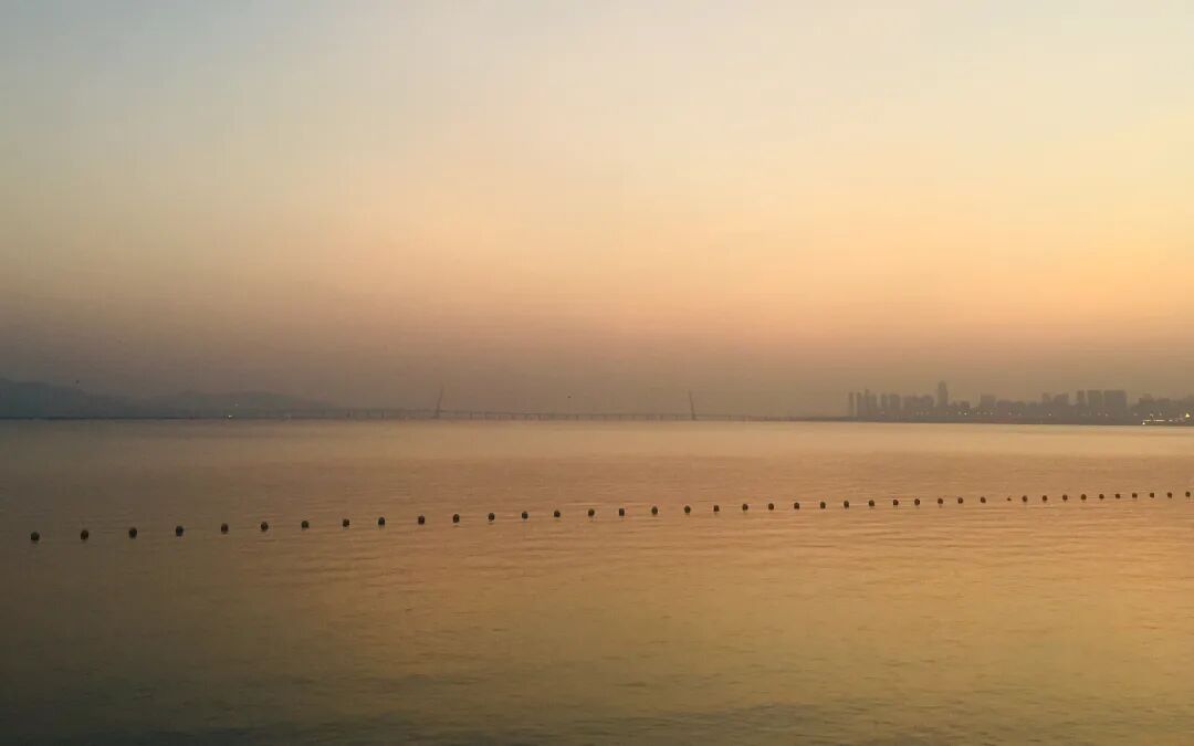 SGDA 能量秀 | 陈丽斯：享受用设计丈量未知领域的过程