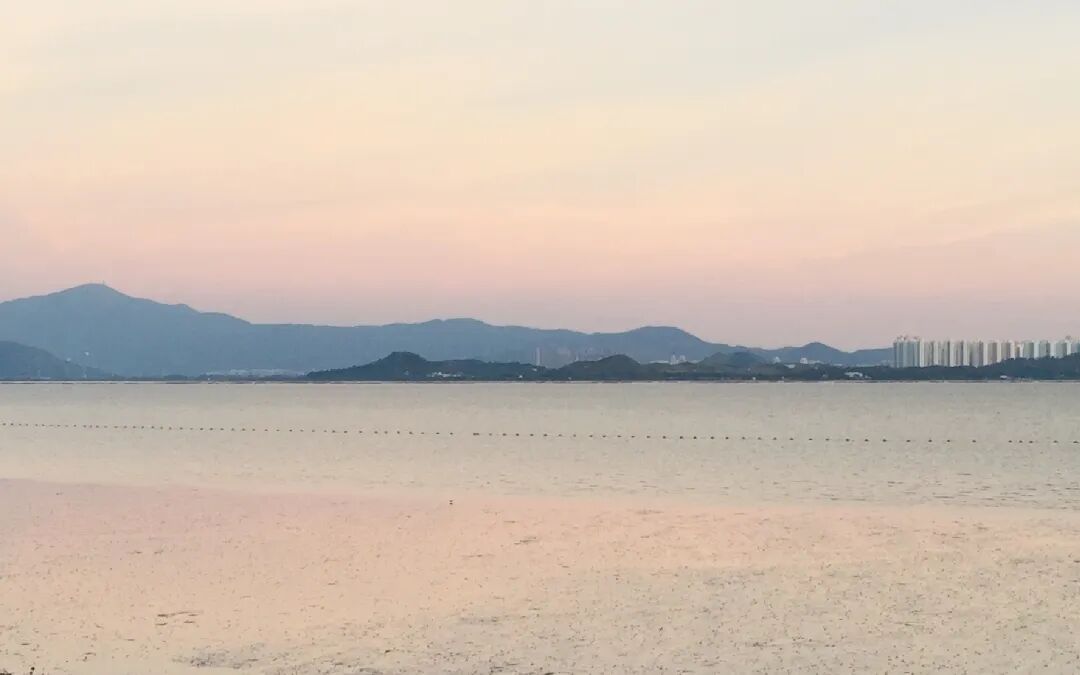 SGDA 能量秀 | 陈丽斯：享受用设计丈量未知领域的过程