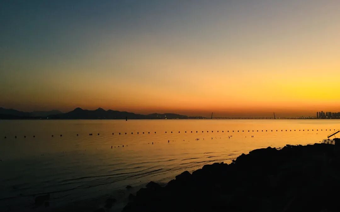 SGDA 能量秀 | 陈丽斯：享受用设计丈量未知领域的过程