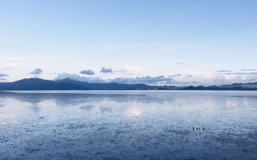 SGDA 能量秀 | 陈丽斯：享受用设计丈量未知领域的过程