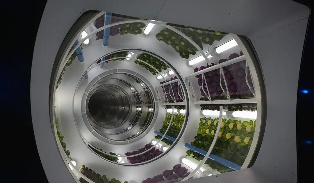 国内首家太空餐厅来了,可吃宇航员同款菜式 - 元宇宙