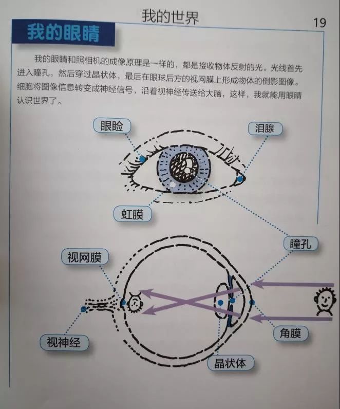 媽媽會選書 | 這節身體認知課，每個家長都該給孩子補上 親子 第23張